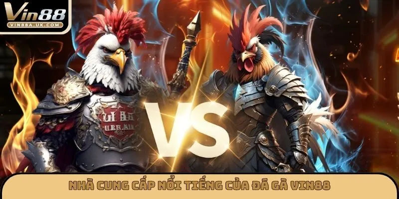 Nhà cung cấp nổi tiếng của đá gà VIN88