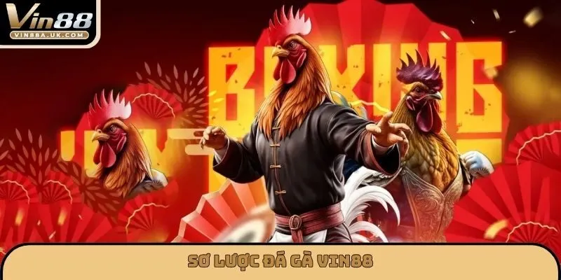 Sơ lược đá gà VIN88