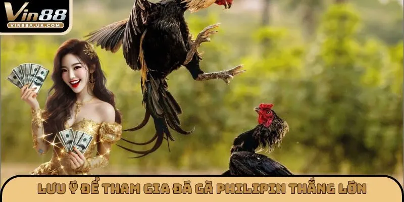 Lưu ý để tham gia đá gà Philipin thắng lớn