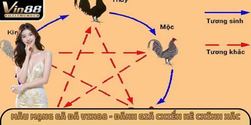 Màu Mạng Gà Đá